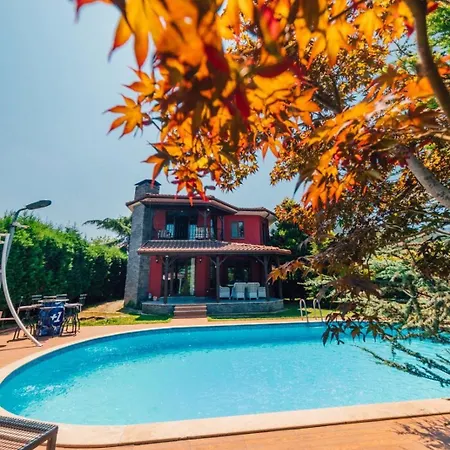 Sapancada Isitmali Havuzlu Villa *